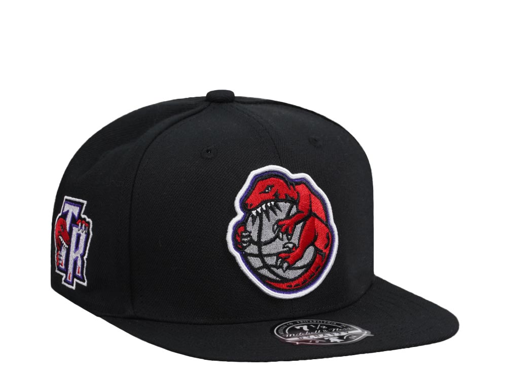 Mitchell & Ness Toronto Raptors Logo History Hardwood Classic Dynasty Fitted Gorra