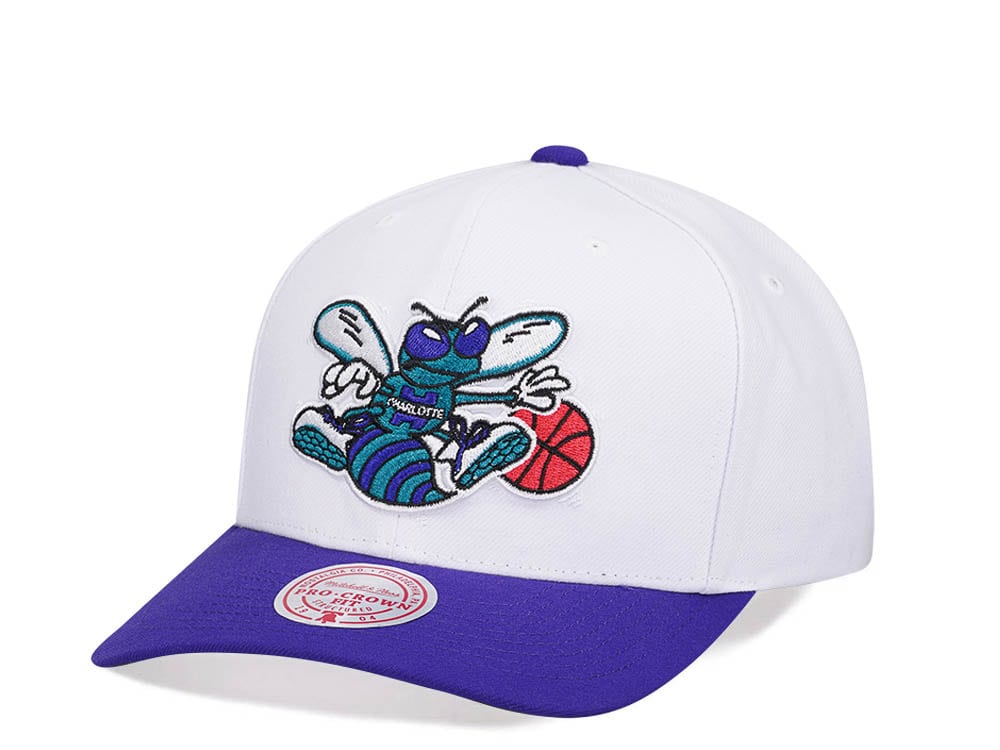 Mitchell & Ness Charlotte Hornets Team Two Tone 2.0 Pro Snapback Gorra